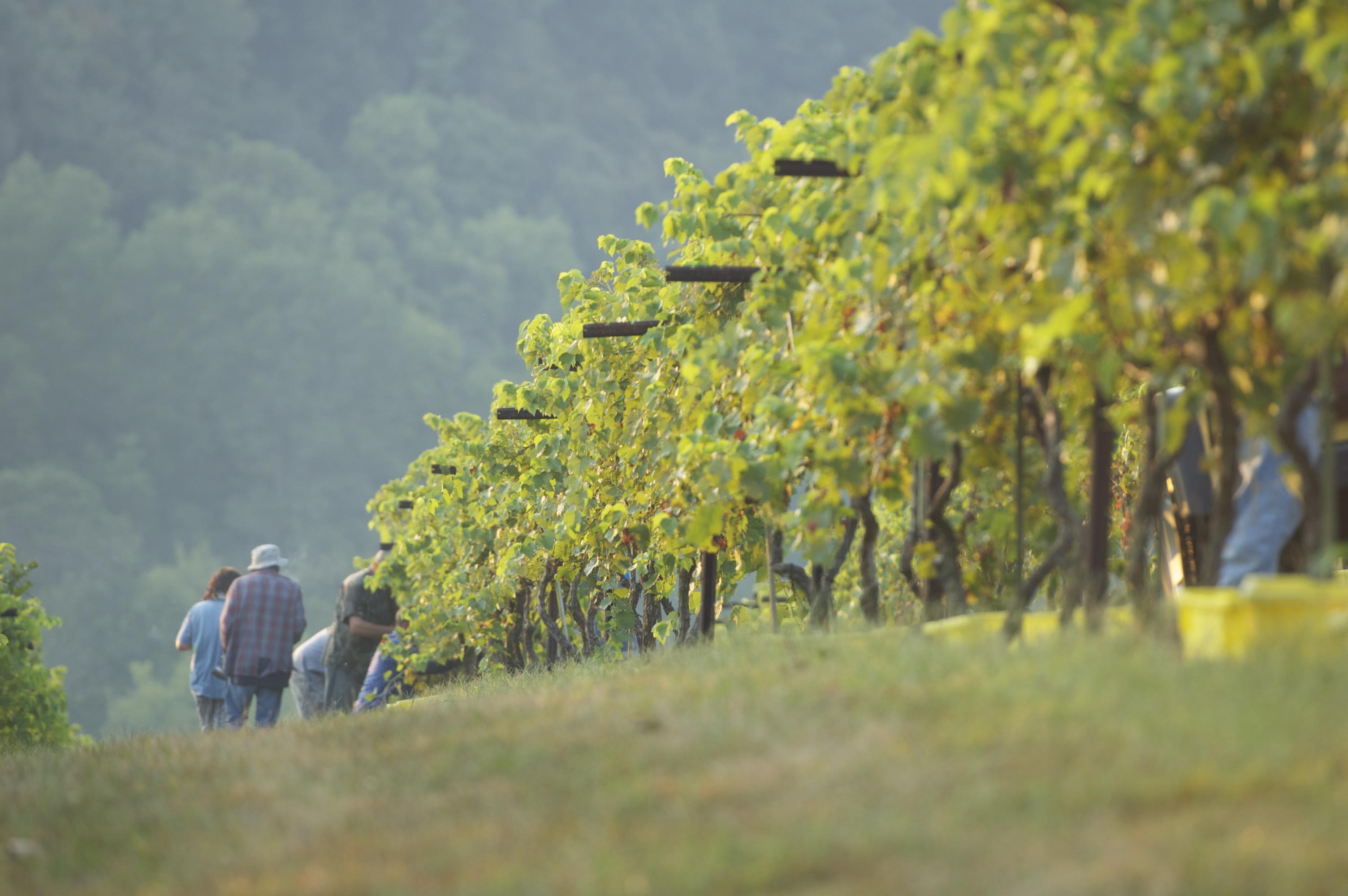 Hohenwald RV Resorts in Hohenwald